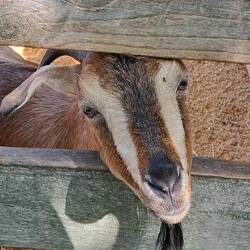 There's no way you didn't smile when you slid to this pic.