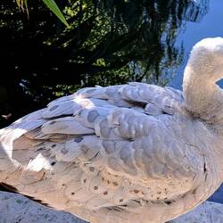 All done. Back to beautiful.