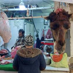 Hier gibt's Kamelfleisch zu kaufen