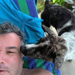 Abschlecken .... Ohne Erwiderung