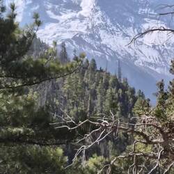 Einfach Wahnsinn, zum Glück laufen wir nicht dabei 😂