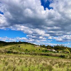 Typisches Landschaftsbild
