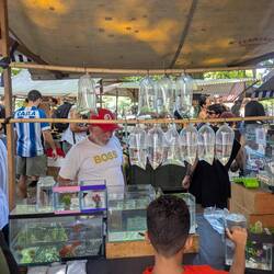 Es gibt wieder (fast) alles. Auch Goldfisch im Beutel 🤔🙈😁