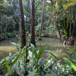 Monas entdeckte Oase im Tijuana Nationalpark - Bäume 🌲 wachsen hier (sogar) im Wasser