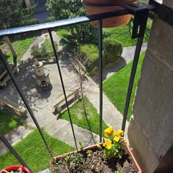 Cold but sunny day out our window