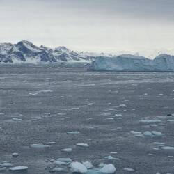 Lazarev Bay, one big slushy