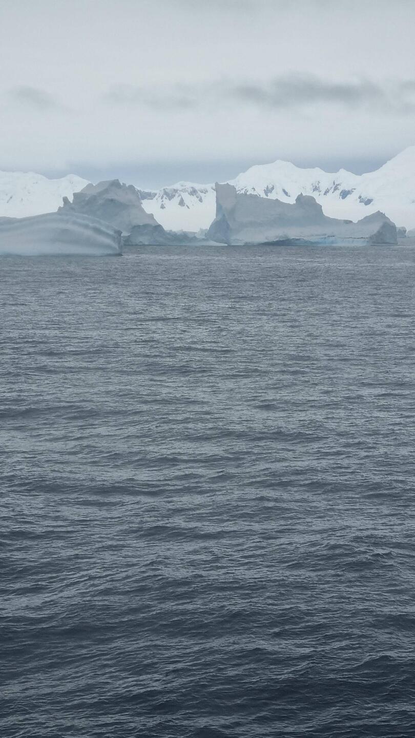 Icebergs and mountains, Lazarev Bay