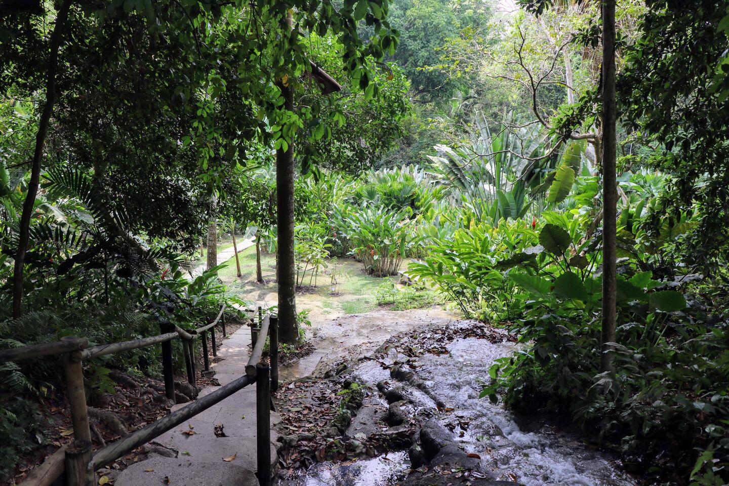 Cartagena Botanical Garden.