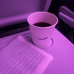 Blaubeersaft im Flugzeug