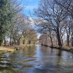 Trees lining the canal. We passed a number of mature copses.