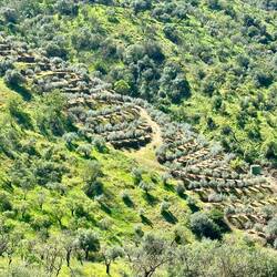 Terracing along the route