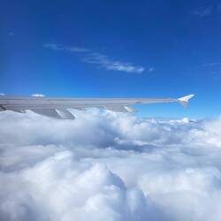 ein turbulenter Flug HAM ➡️ MUC