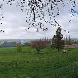 Non rende ma immaginate che significa sedersi sotto un albero con questa vista