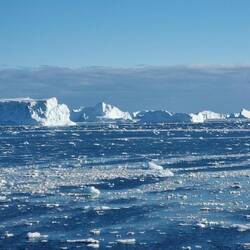Icebergs guard the entrance of the bay. Captain Per gets us through.
