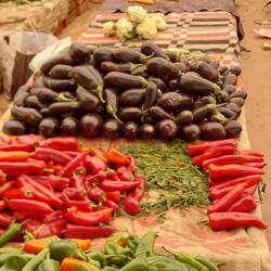 Alles kostet gleich viel, nur Schüssel füllen 😁