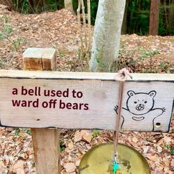 Godt at vide... 😳