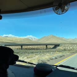 Indy is assistant driver.