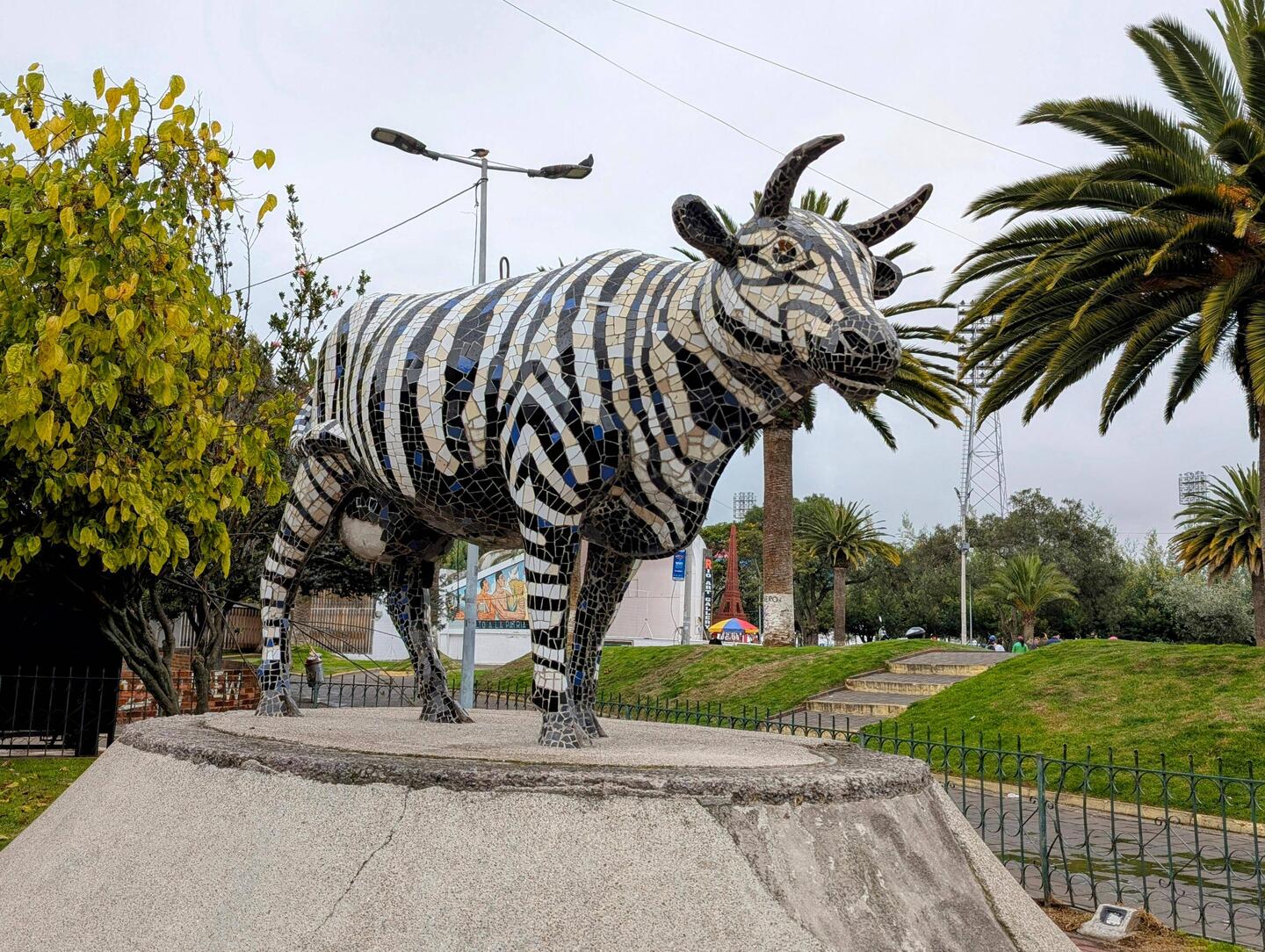 Zebrakuh in Riobamba