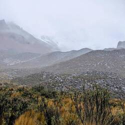 Ganz hinten versteckt sich der Chimborazo