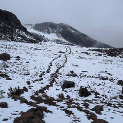 Weg zur Chimborazo - Hütte