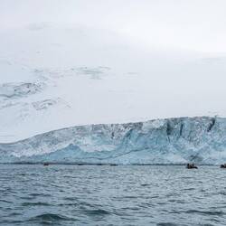 Zodiac cruise along the shoreline of Thule Island — South Sandwich Islands.