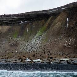 Zodiac cruise along the shoreline of Thule Island — South Sandwich Islands.