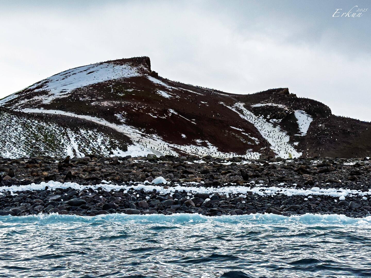Zodiac cruise along the shoreline of Thule Island — South Sandwich Islands.