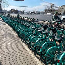 Leihfahrräder findet man in der gesamten Stadt