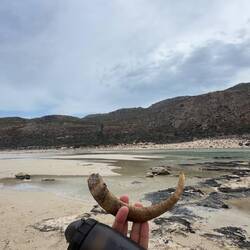 Mein Souvenir vom Balos Strand