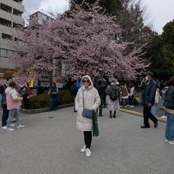 Ueno Park