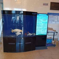 Aquarium in der Lobby