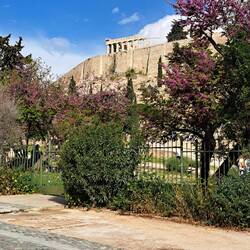 Besuch des Akropolis Museums und immer den Parthenon im Blick