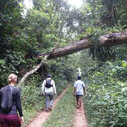 Hier ist auch der große Weg sehr schön