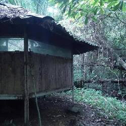 Von hier konnte man früher die Waldelefanten am Fluss trinken sehen - bis zu viele Touristen kamen