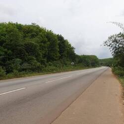 Kautschuk-Plantagen gibt es hier auch wieder