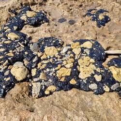 Überall Reste vom Öl...