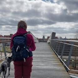 Blick auf die Windmühle mitten in Delfzijl....