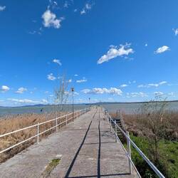 Lago Trasimeno