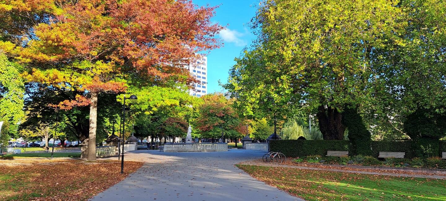 Fall is kicking in here w/ some beautiful colors.