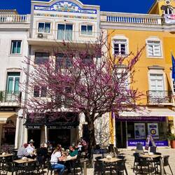 Und zur Pausenzeit 😊