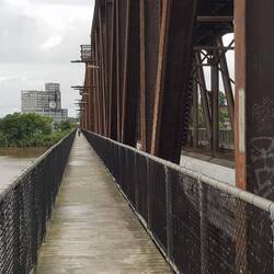Riding across Grafton bridge