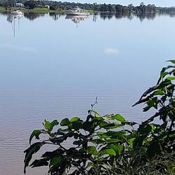 Peaceful river - Ulmarra