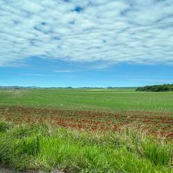 Farmland in the Pantanel