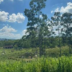 Auf dem Weg nach "São Paulo"