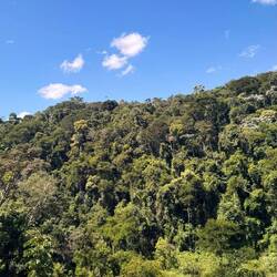 Auf dem Weg nach "São Paulo"