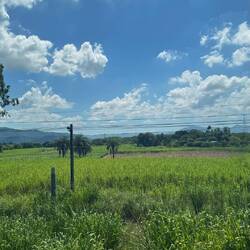 Auf dem Weg nach "São Paulo"