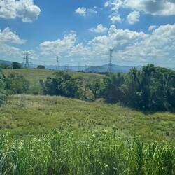 Auf dem Weg nach "São Paulo"