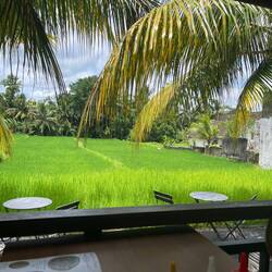 Usblick us em Warung ☺️😍