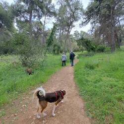 Im Park von Marousi mit Ioannis und Bella