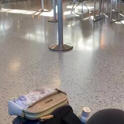 The airplane terminal made funny noises.